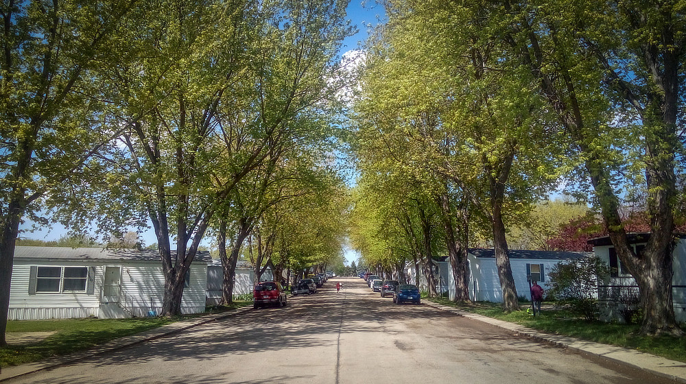 Chateau Estates road with trees